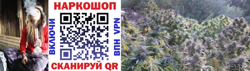 Наркотические вещества Емва Марихуана  Кокаин  Alpha PVP  Меф  Галлюциногенные грибы  ГАШИШ 